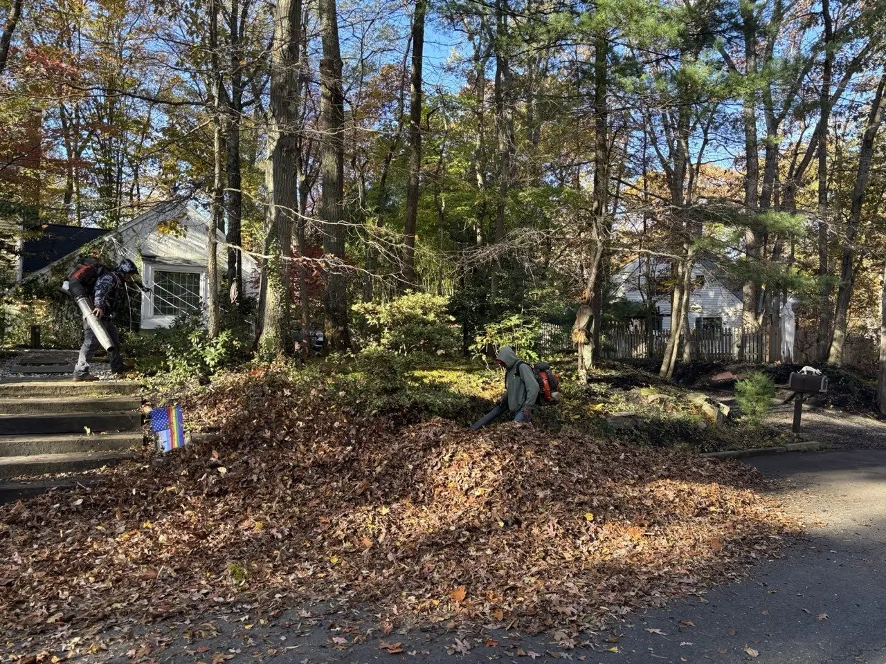 P&F Lawn Care crew doing a fall leaf clean-up at a Cherry Hill, NJ home