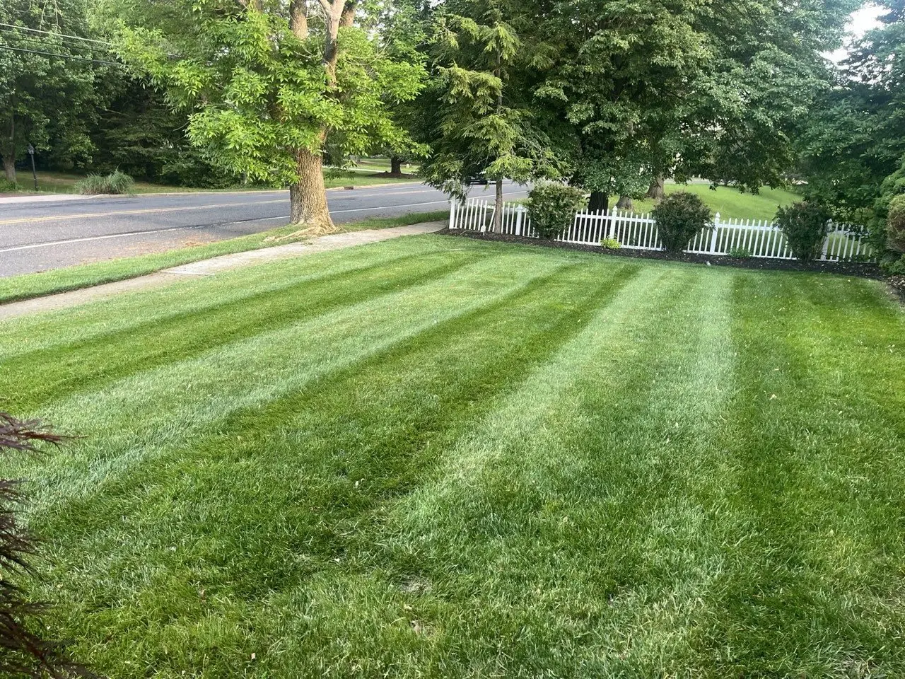 Mowed and striped lawn along a white picket fence in Marlton