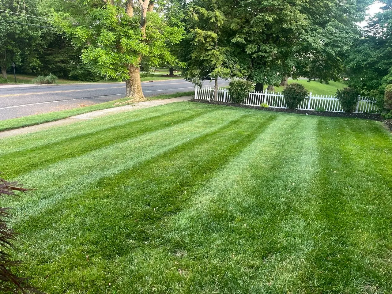 Mowed and striped lawn along a white picket fence in Marlton, NJ