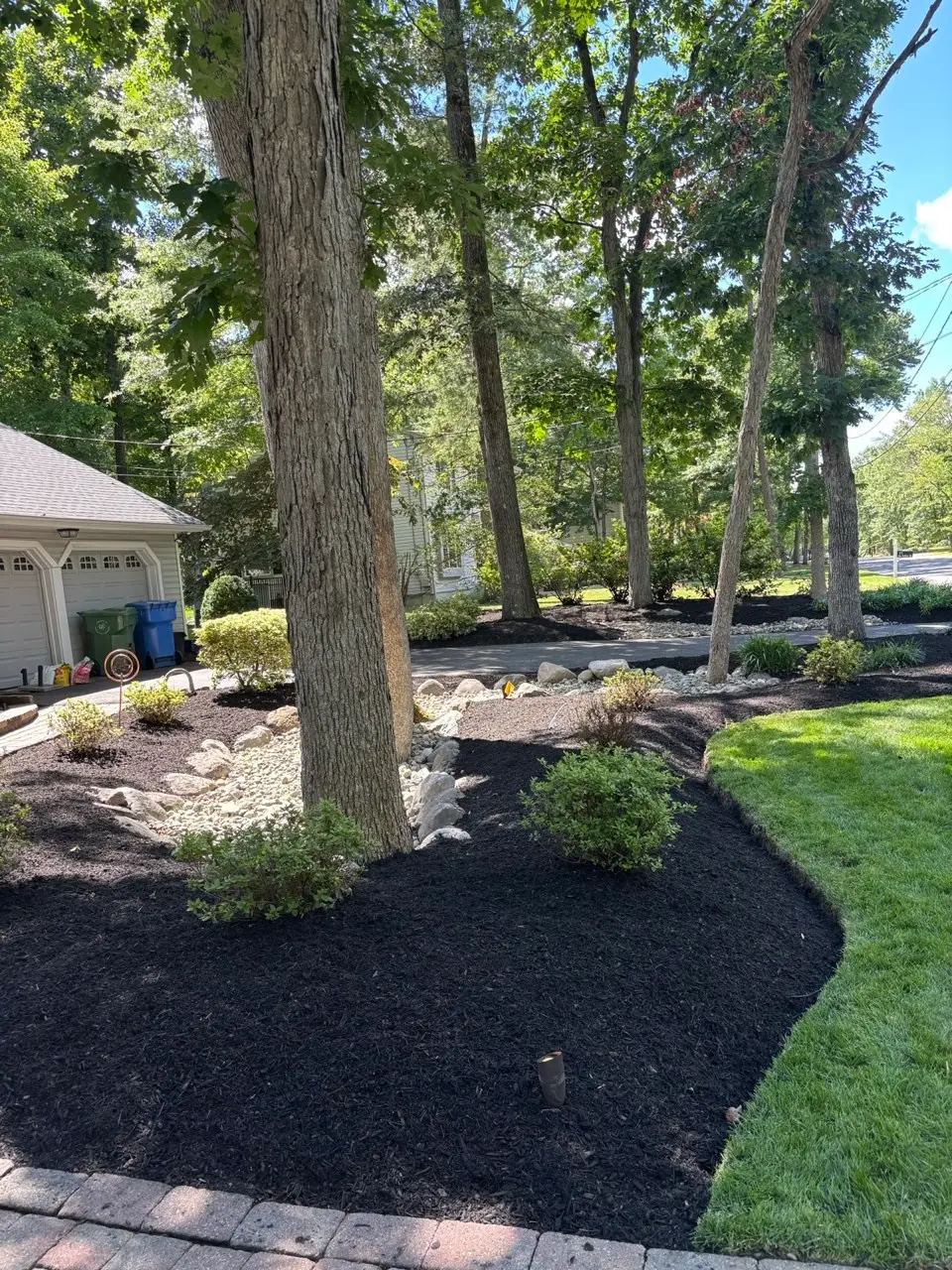 Landscaped bed with mulch, boulders, and young trees