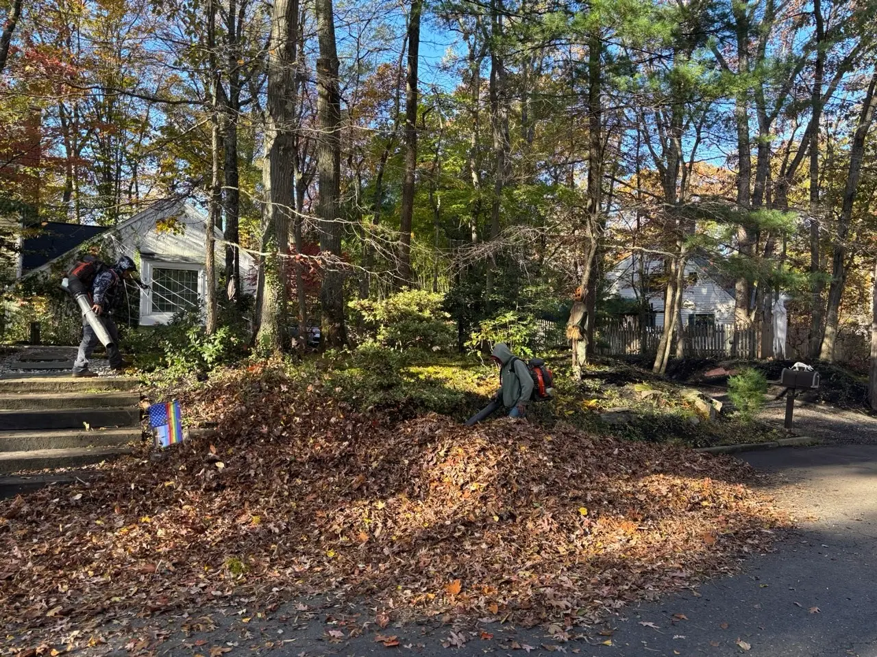Crew clearing fall leaves at a wooded property in Cherry Hill, NJ