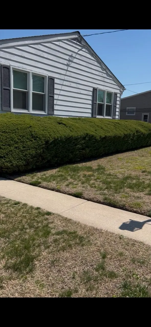 Neatly trimmed hedge in front of a ranch home