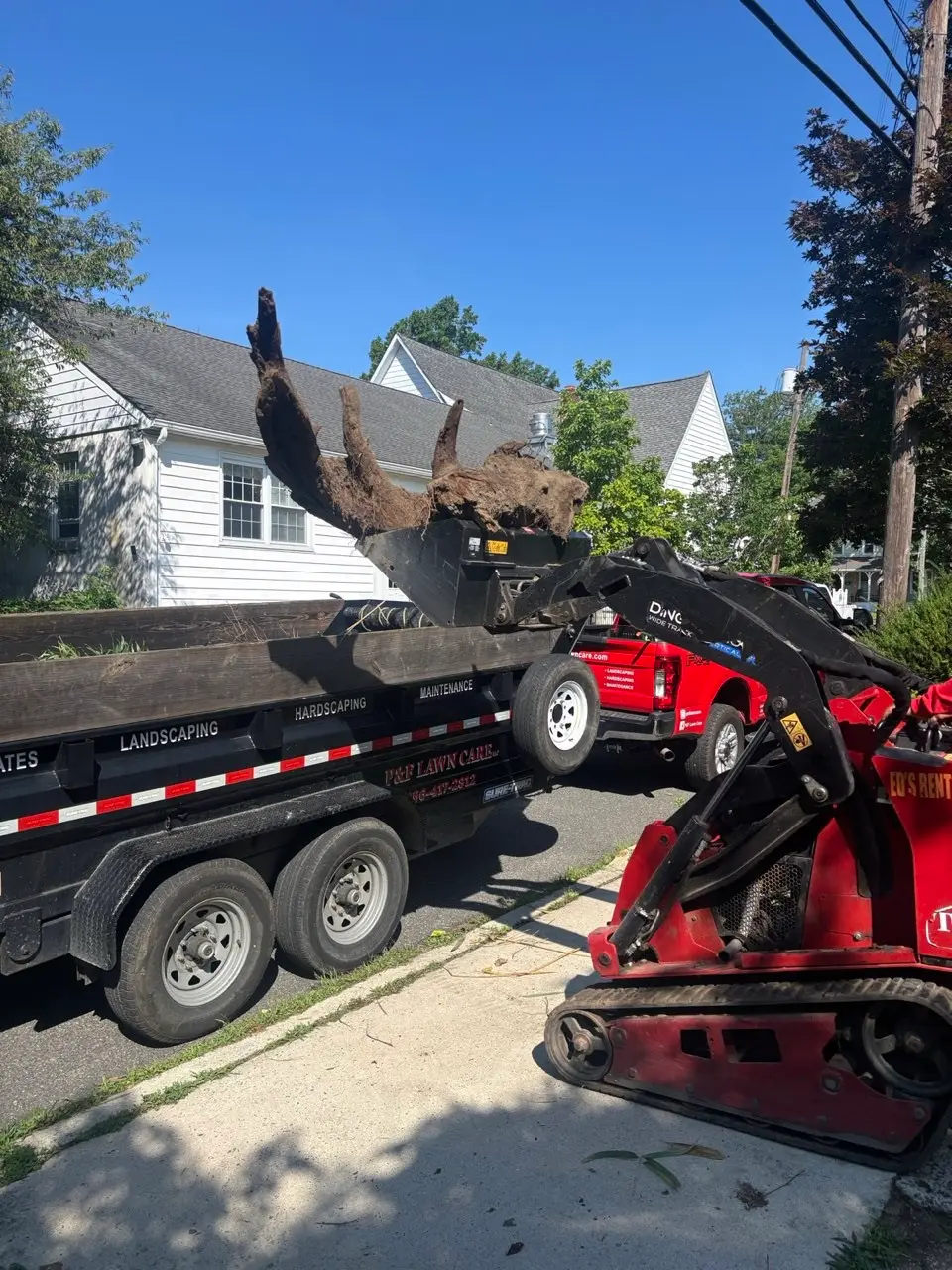 Tree and stump removal with equipment