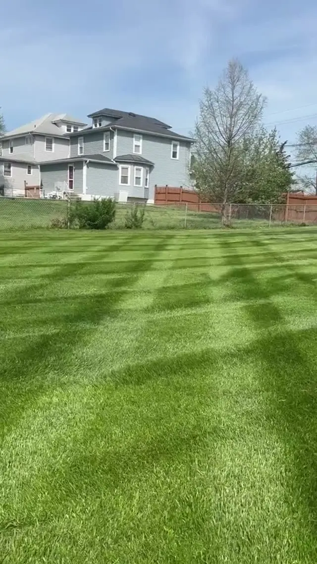 Video: Lawn striping