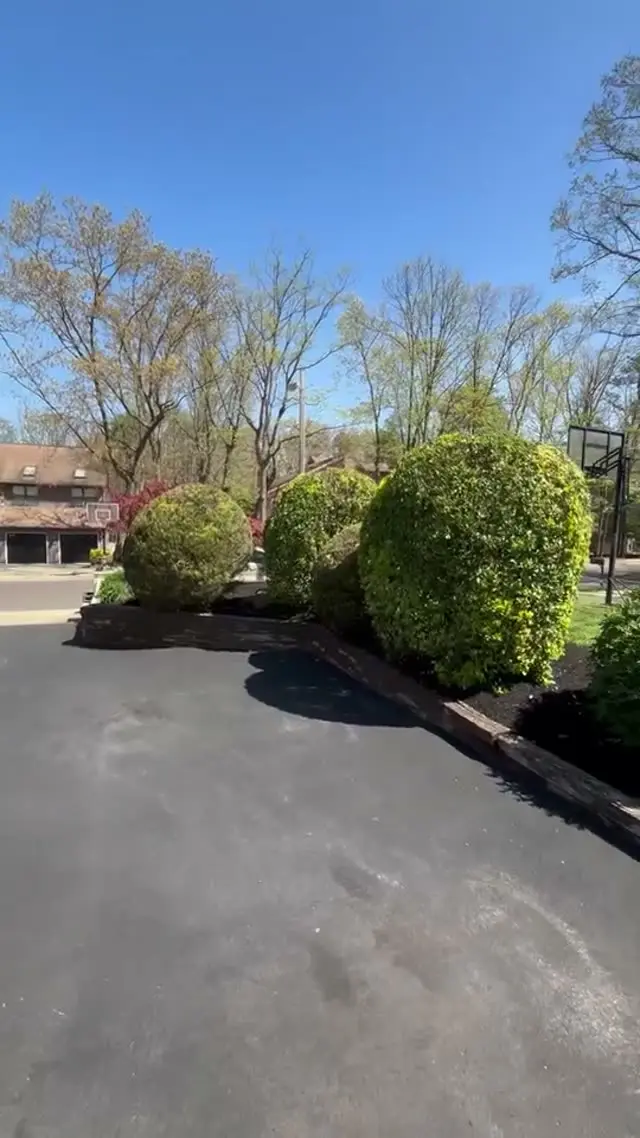 Video: Shrub trimming